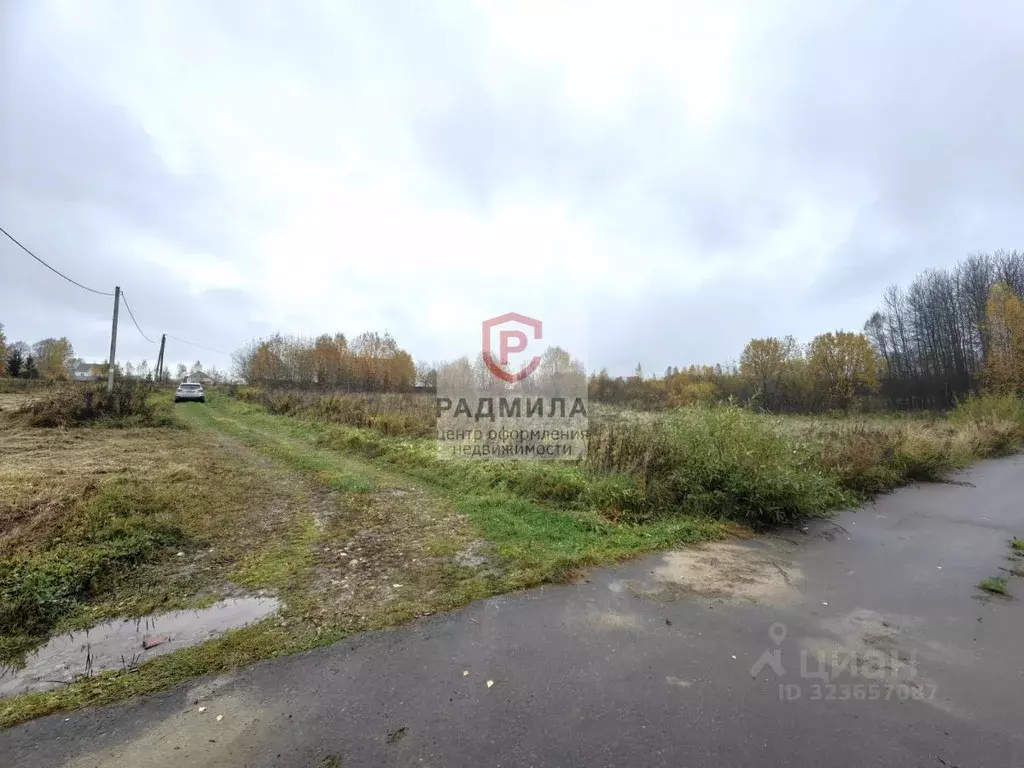 Участок в Владимирская область, Александровский муниципальный округ, ... - Фото 2