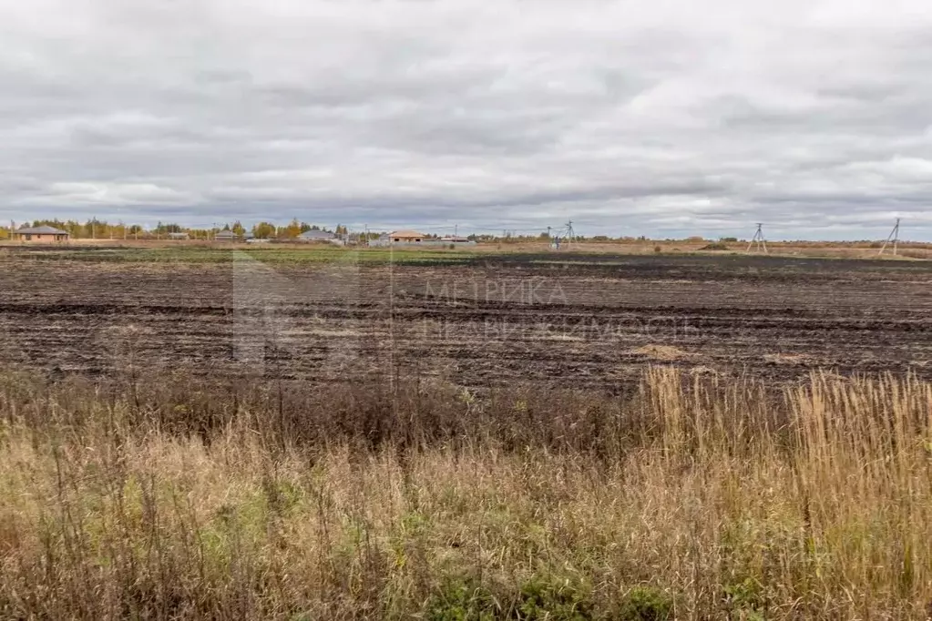 Участок в Тюменская область, Тюменский муниципальный округ, с. Каскара ... - Фото 1