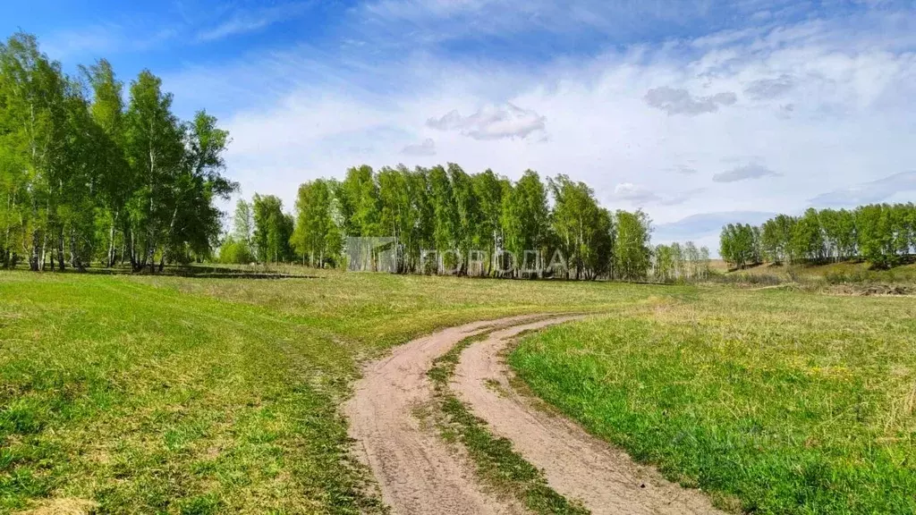 Участок в Новосибирская область, Новосибирский район, Каменский ... - Фото 1