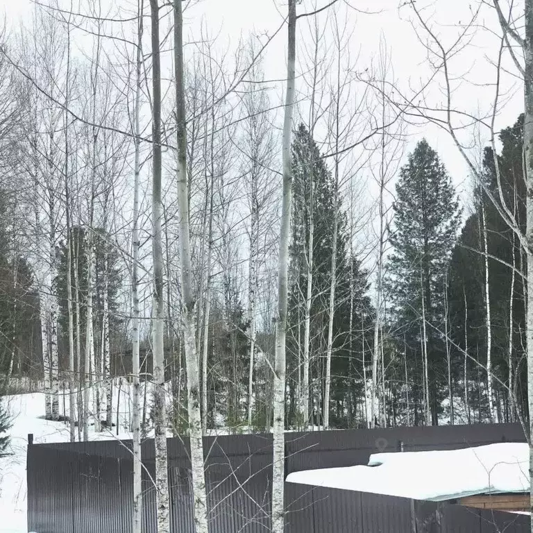 Участок в Ханты-Мансийский АО, Ханты-Мансийск Белка СОТ,  (9.0 сот.) - Фото 0
