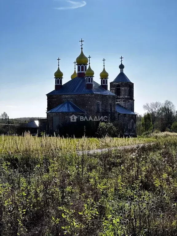 Дом в Владимирская область, Камешковский муниципальный округ, с. Тынцы ... - Фото 1
