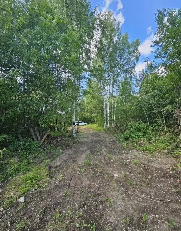 Участок в Пермский край, Пермь ул. Промучасток, 15В (6.0 сот.) - Фото 2