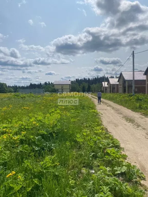 Участок в Московская область, Клин городской округ, ДНП Маринские дачи ... - Фото 1