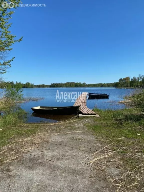 Участок в Приозерский район, Ларионовское сельское поселение, посёлок ... - Фото 1