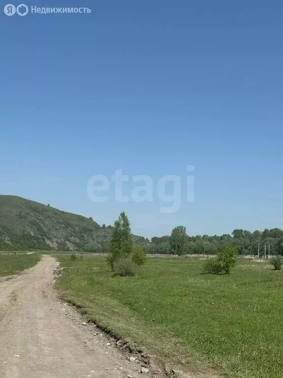Участок в Алтайский район, Айский сельсовет, село Ая (250 м) - Фото 1