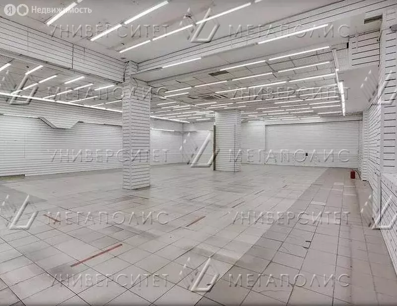 Помещение свободного назначения (628 м) - Фото 2