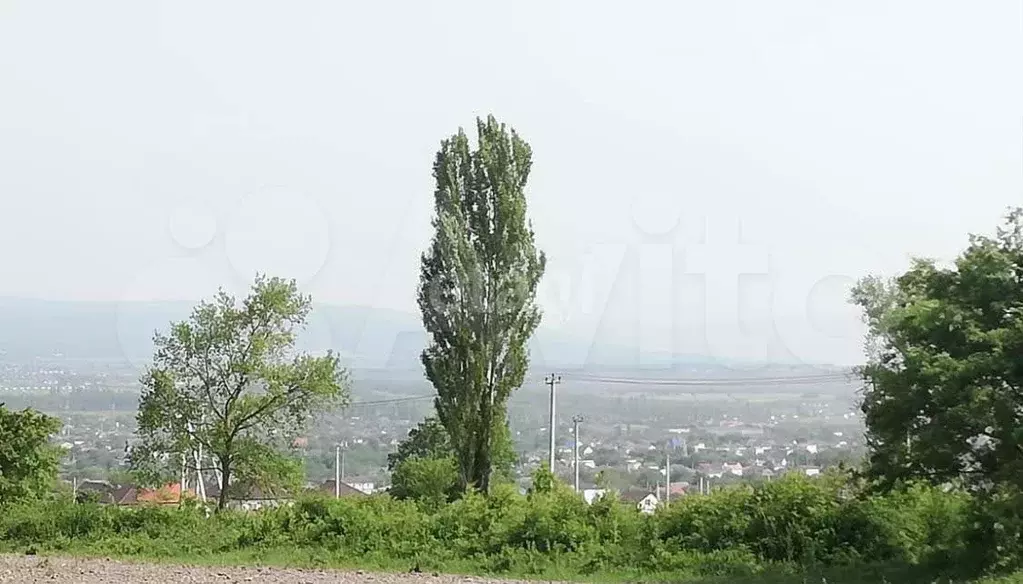 Участок 6,5 сот. (СНТ, ДНП) - Фото 1