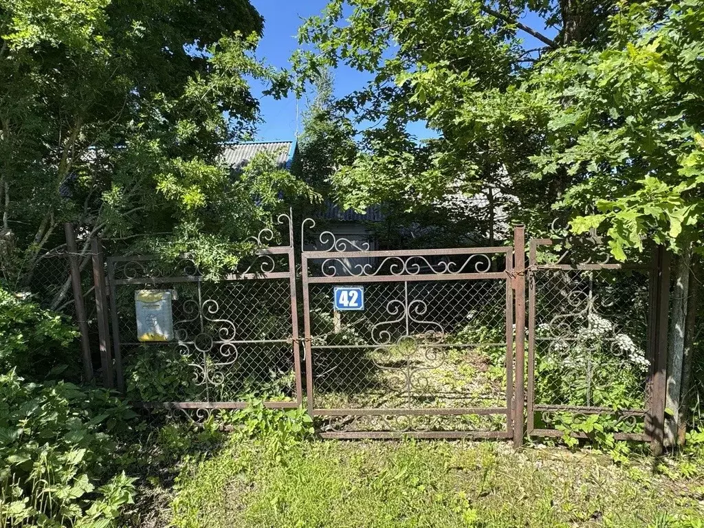 Участок в Ленинградская область, Волосовский район, Клопицкое с/пос, ... - Фото 2