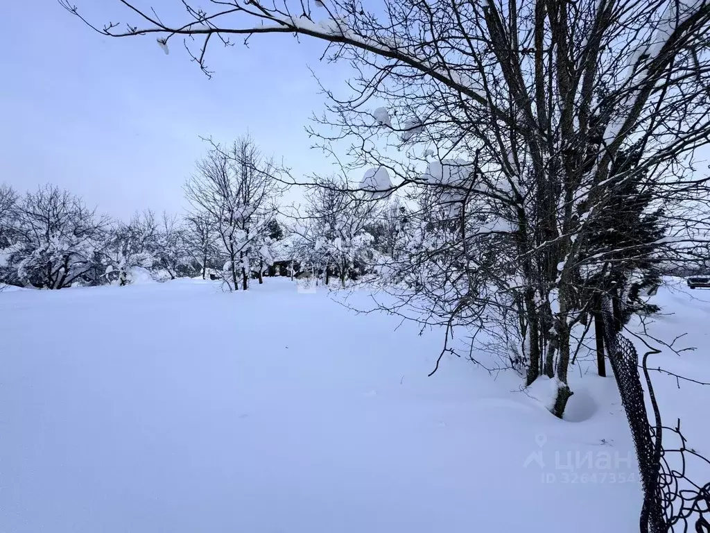 Участок в Московская область, Пушкинский городской округ, д. Артемово ... - Фото 2