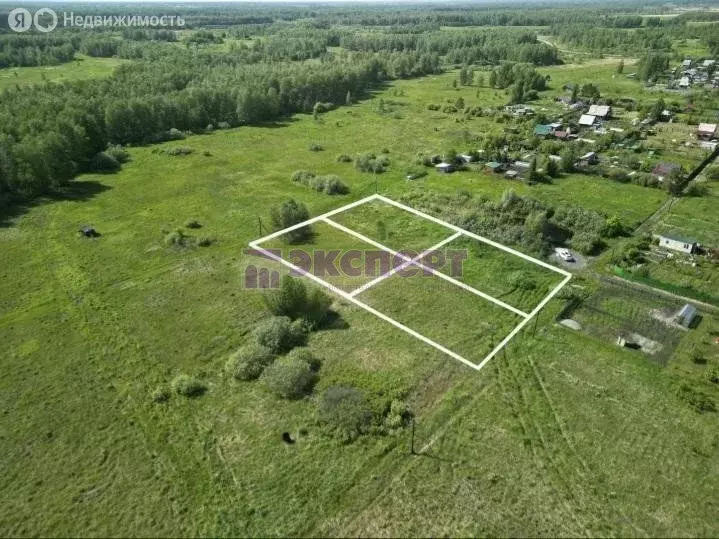 Участок в Тюменская область, Ялуторовский муниципальный округ, садовое ... - Фото 1