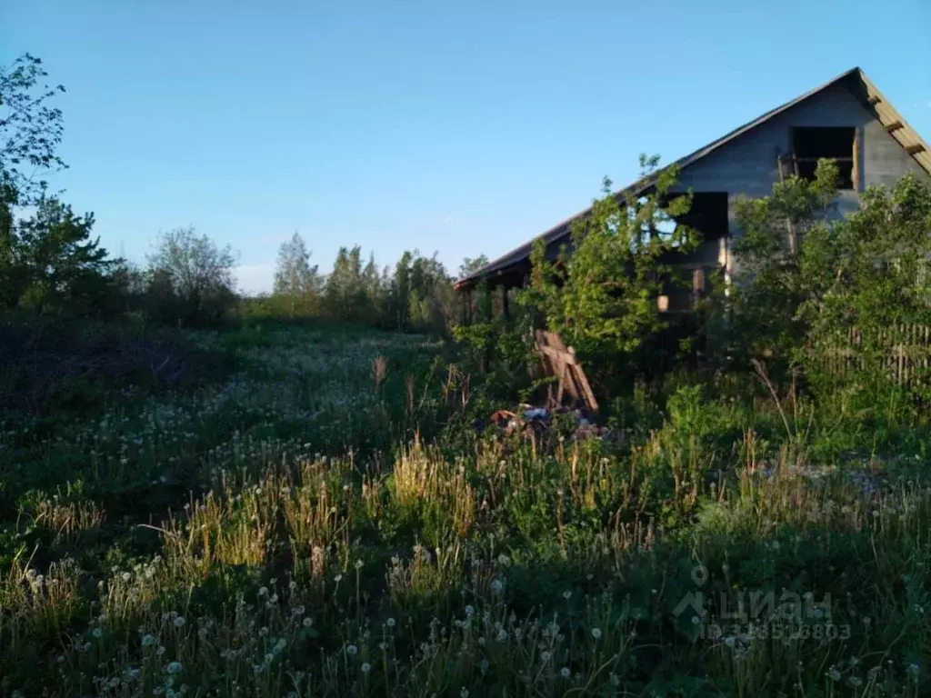 Участок в Свердловская область, Дегтярск ул. Школьников, 19 (1162.0 ... - Фото 0