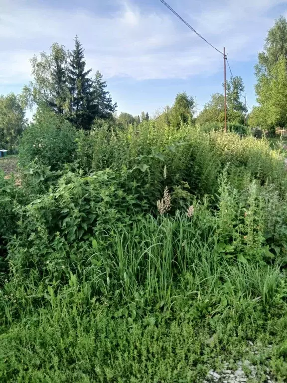 Участок в Московская область, Клин городской округ, пос. Нарынка  ... - Фото 1