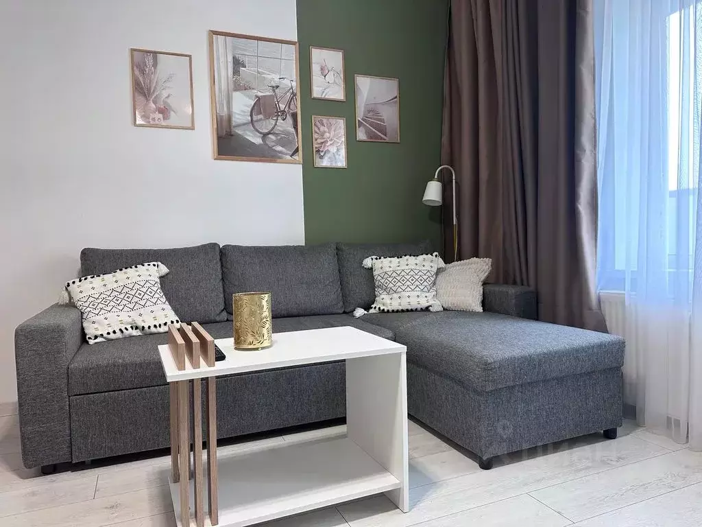 Студия Ленинградская область, Гатчина ул. Чехова, 41 (28.0 м) - Фото 1