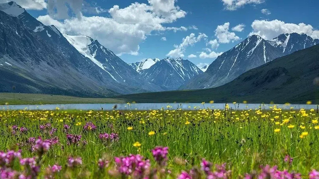 Участок в Алтай, Чемальский район, Элекмонарское с/пос, Седьмое Небо ... - Фото 0