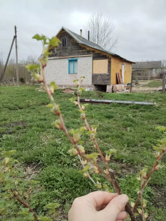 Дом в Псковская область, Локнянский муниципальный округ, с. Подберезье ... - Фото 0