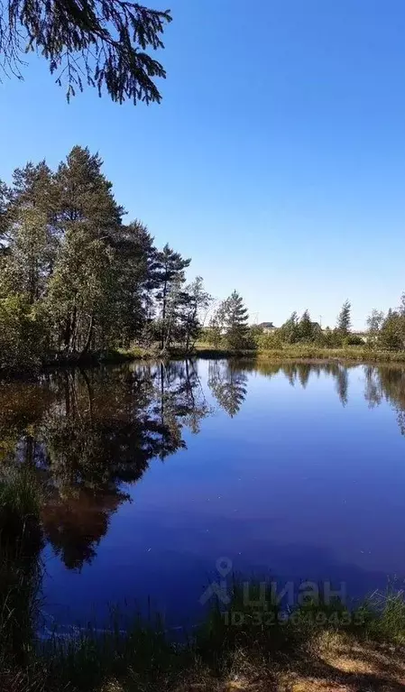 Участок в Ленинградская область, Ломоносовский район, Кипенское с/пос  ... - Фото 1
