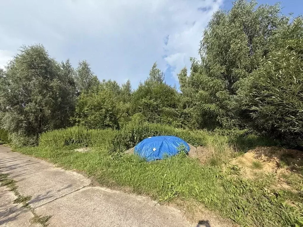 Участок в Московская область, Мытищи городской округ, д. Витенево ул. ... - Фото 2