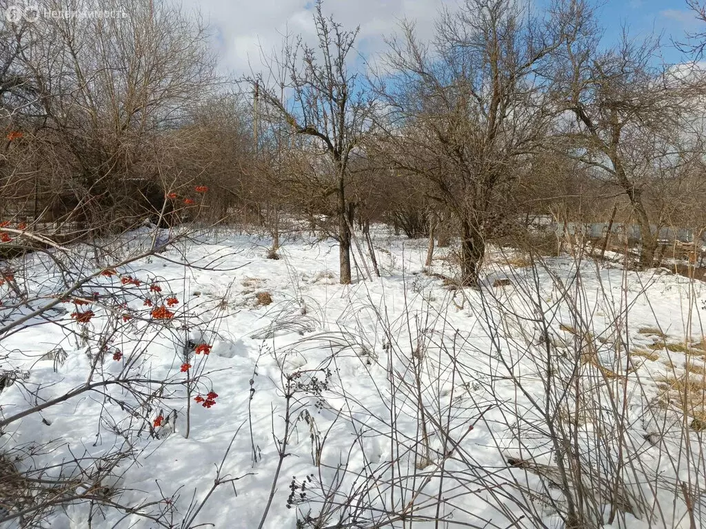 Участок в Новочеркасск, Весенняя улица, 99 (11 м) - Фото 0