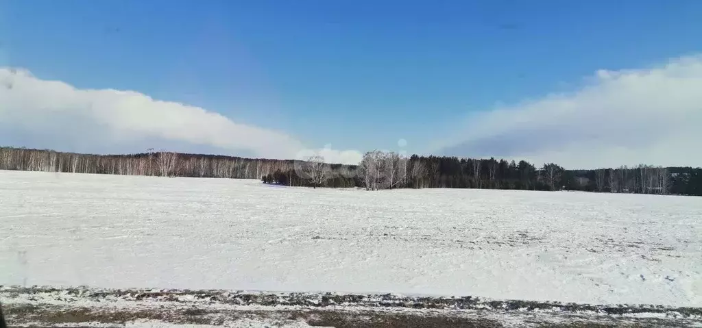 Участок в Красноярский край, Березовка пгт  (6.1 сот.) - Фото 0