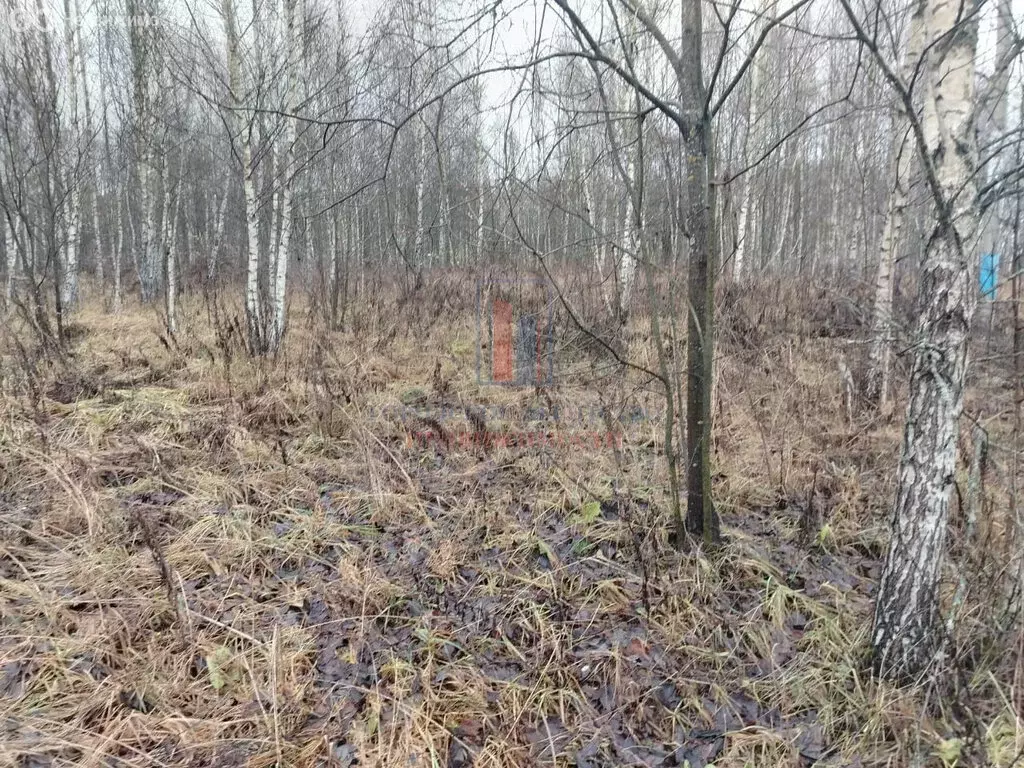 Участок в Московская область, городской округ Серпухов, деревня ... - Фото 2