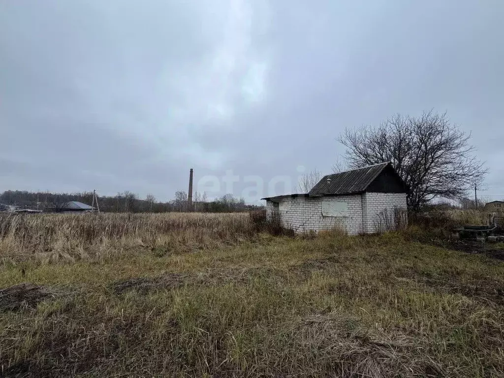 Участок в Брянская область, Брянский район, Снежское с/пос, с. ... - Фото 1