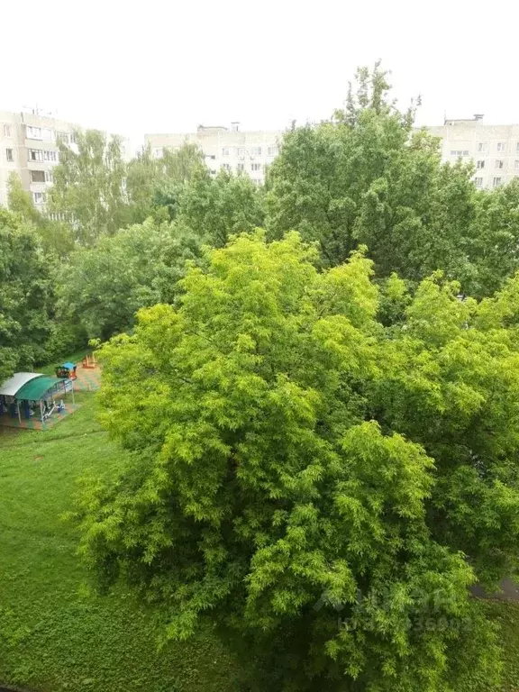 1-к кв. Московская область, Подольск ул. Веллинга, 10 (33.3 м) - Фото 0