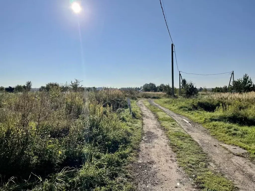 Участок в Московская область, Истра муниципальный округ, д. Ядромино  ... - Фото 2
