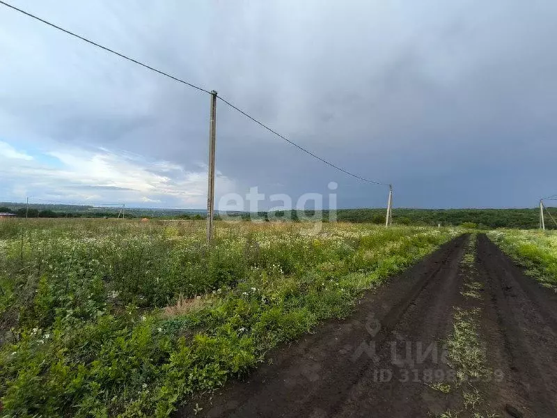 Участок в Белгородская область, Белгородский район, с. Стрелецкое 721 ... - Фото 1