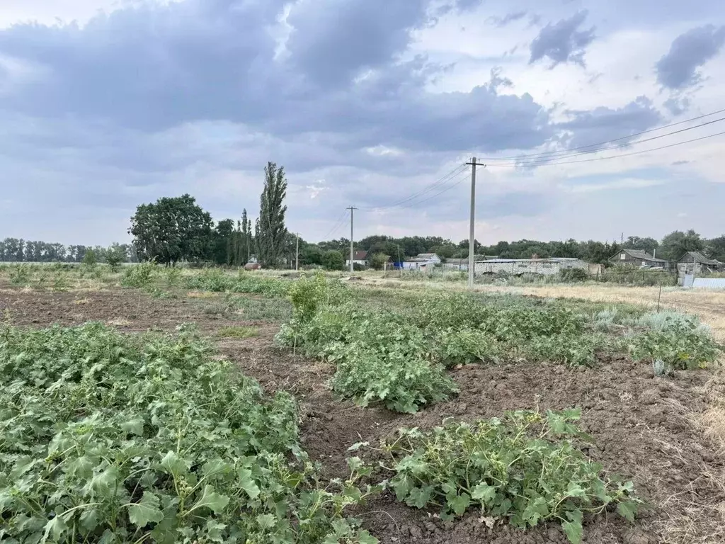 Участок в Волгоградская область, Среднеахтубинский район, Кировское ... - Фото 0