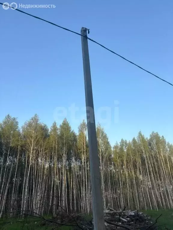 Участок в Тульская область, городской округ Тула, село Частое (10 м) - Фото 1
