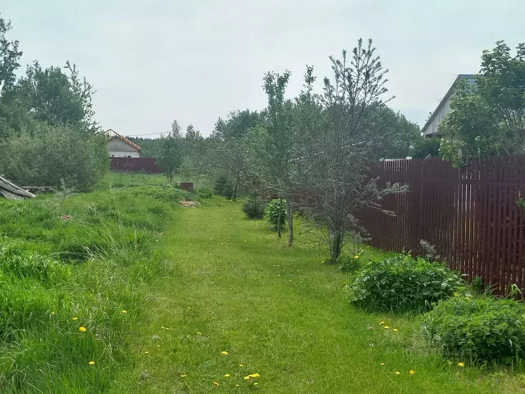 Участок в Московская область, Солнечногорск городской округ, д. ... - Фото 0