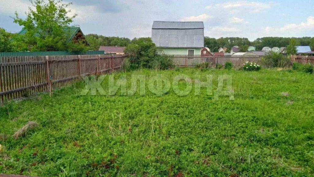 Участок в Новосибирская область, Бердск Радостное СНТ, 155 (5.0 сот.) - Фото 1