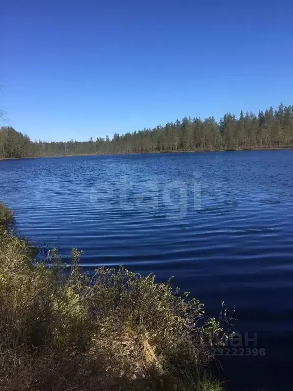 Участок в Ленинградская область, Выборгский район, Красносельское ... - Фото 2