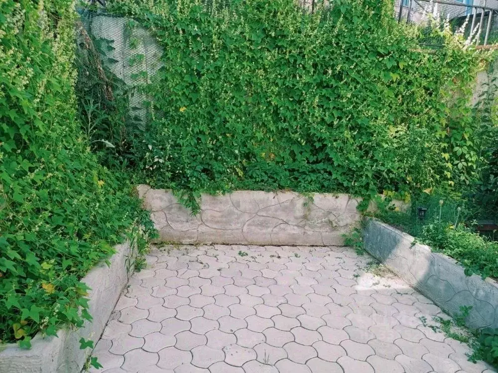 2-к кв. Иркутская область, Иркутск Ершовский мкр, 140 (48.0 м) - Фото 1