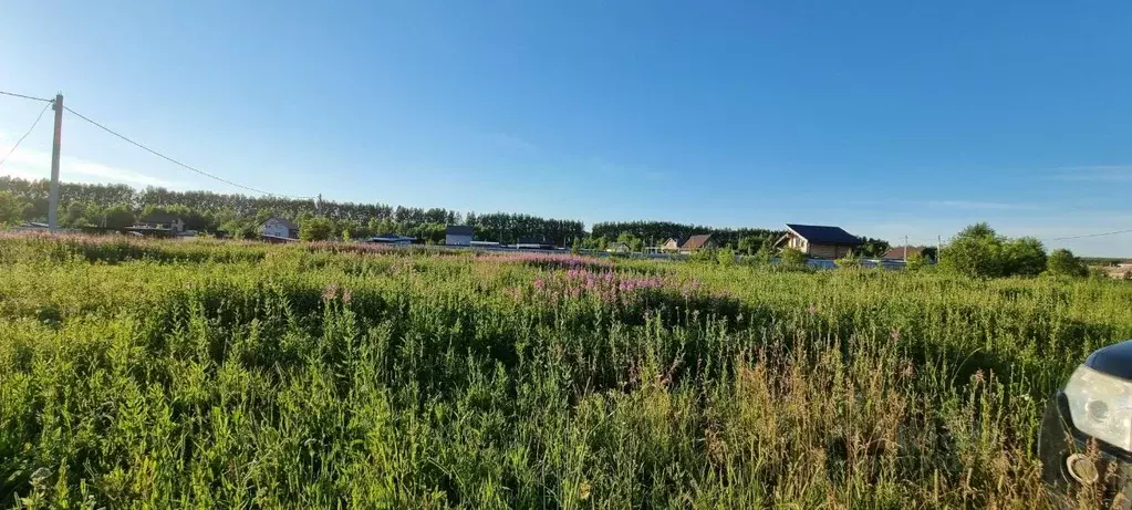 Участок в Нижегородская область, Кстовский муниципальный округ, ... - Фото 0