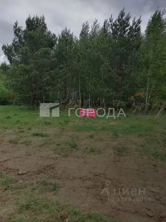 Участок в Алтайский край, Барнаул ул. Есенина, 17 (9.0 сот.) - Фото 2