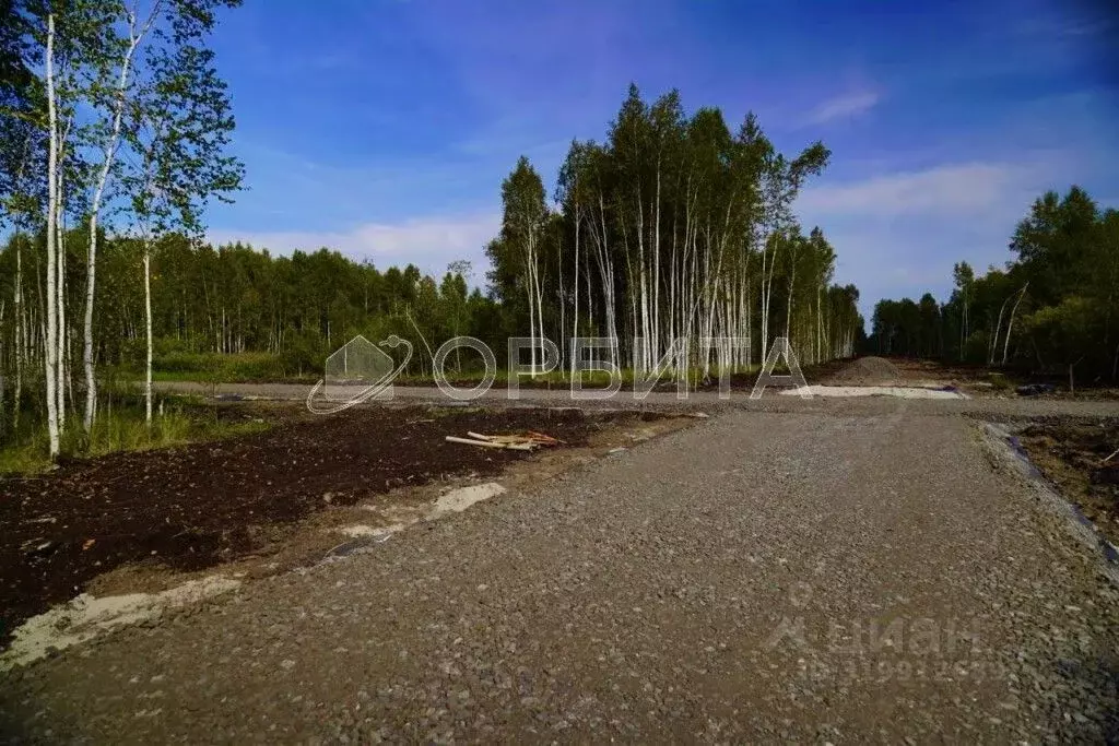 Участок в Тюменская область, Тюменский район, д. Решетникова  (6.0 ... - Фото 1
