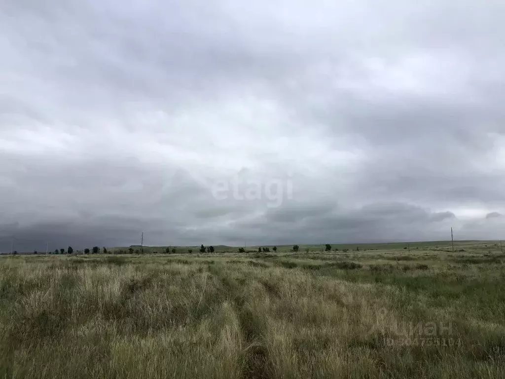 Участок в Хакасия, Алтайский район, с. Белый Яр ул. Нарылковых (12.0 ... - Фото 1