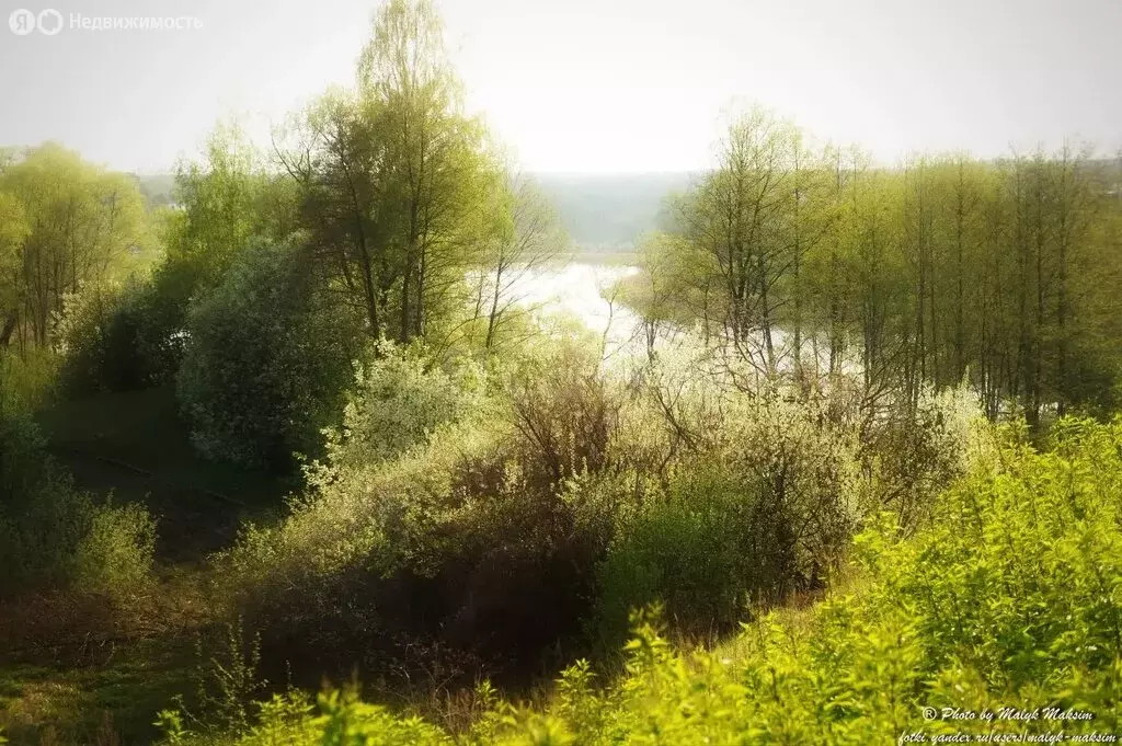 Участок в Преображеновка, улица А.С. Курочкина (20 м) - Фото 1