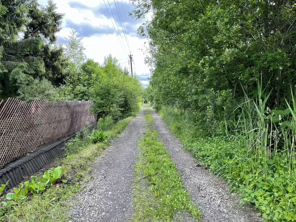 Участок 10 сот. (СНТ, ДНП) - Фото 0