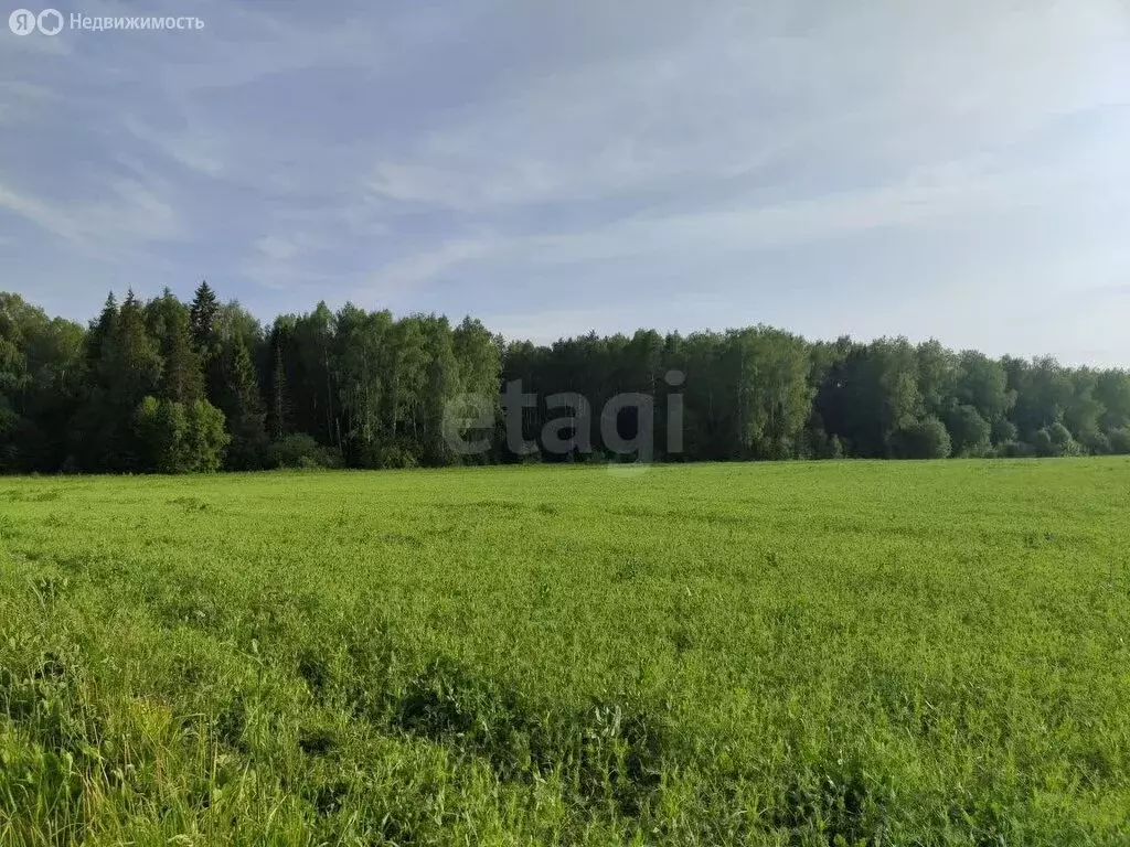 Участок в Медведевский район, Шойбулакское сельское поселение, деревня ... - Фото 1