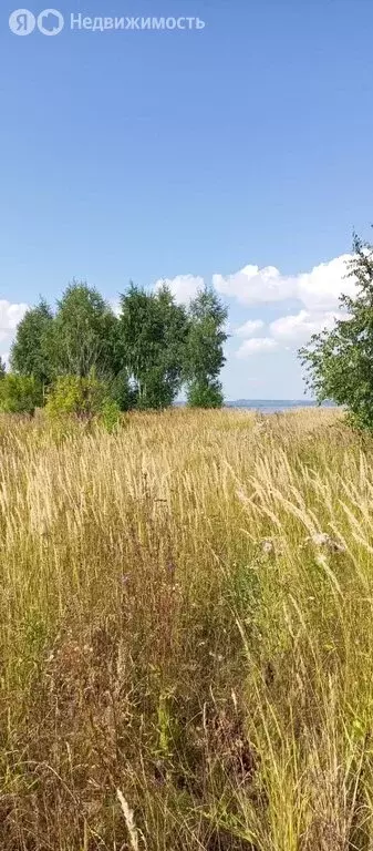Участок в село Елово, Морская улица, 1 (10 м) - Фото 1