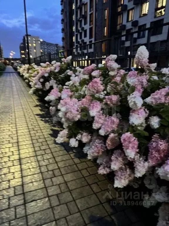 2-к кв. Московская область, Одинцово ул. Каштановая, 6 (50.0 м) - Фото 1