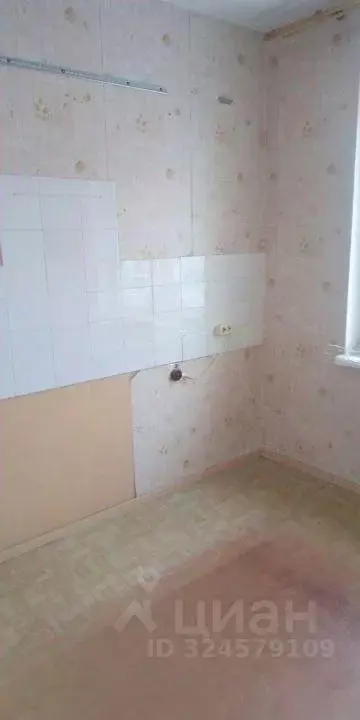 2-к кв. Новосибирская область, Новосибирск Академгородок мкр, ул. ... - Фото 2