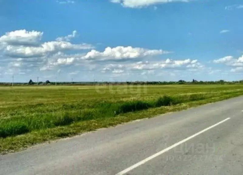 Участок в Ростовская область, Аксайский район, Ольгинская ст-ца 10-й ... - Фото 1