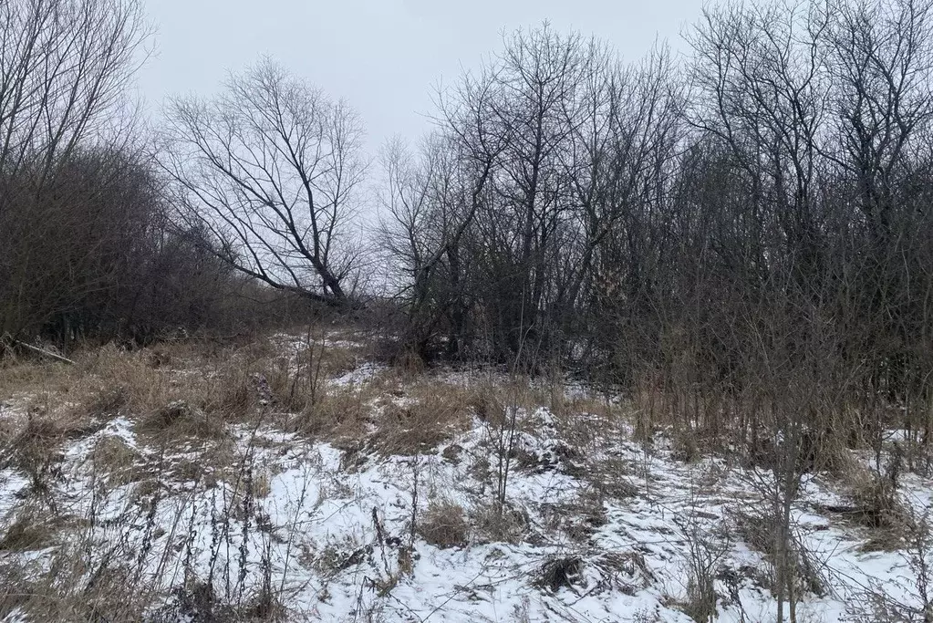 Участок в Московская область, Серебряные Пруды муниципальный округ, д. ... - Фото 2