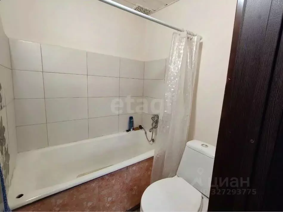 Студия Алтай, Горно-Алтайск Коммунистический просп. (17.8 м) - Фото 1