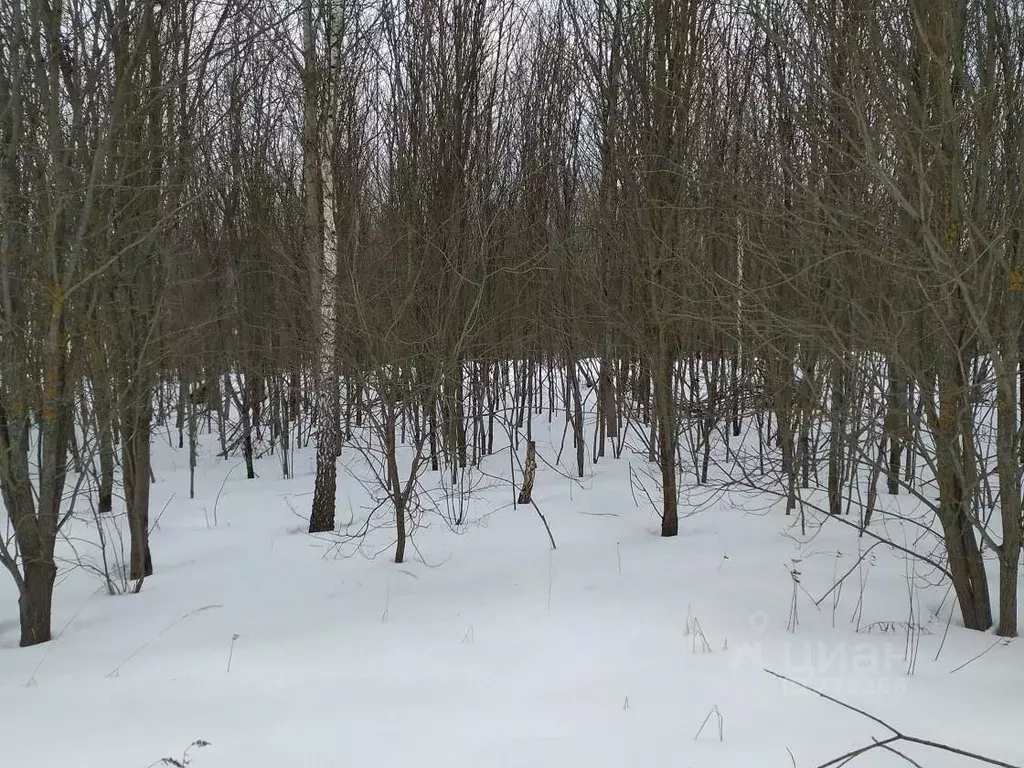 Участок в Московская область, Чехов городской округ, д. Васькино  ... - Фото 1