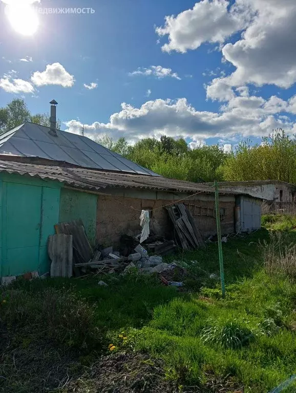 Дом в село Поплевино, улица Старая Дорога, 117 (38 м) - Фото 0