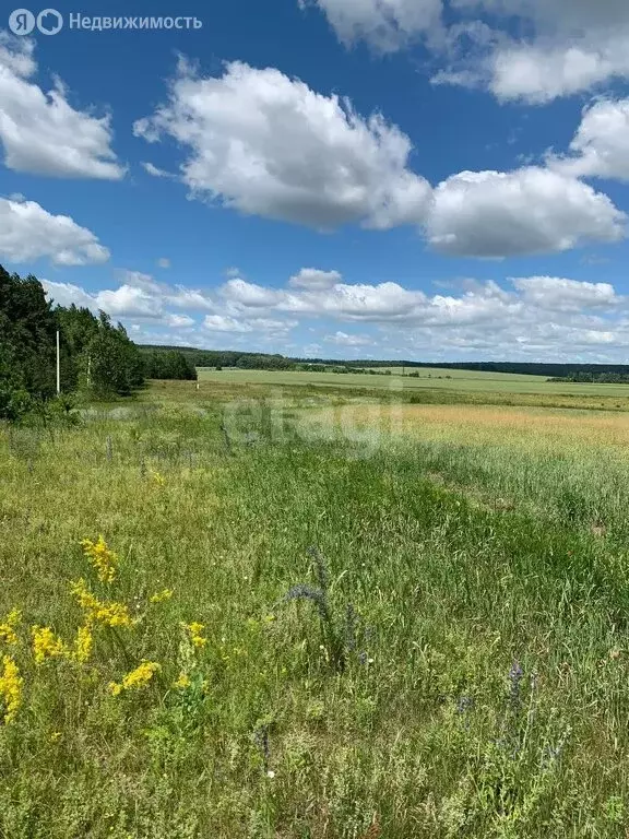 Участок в Задонский район, Каменский сельсовет, деревня Большое ... - Фото 0